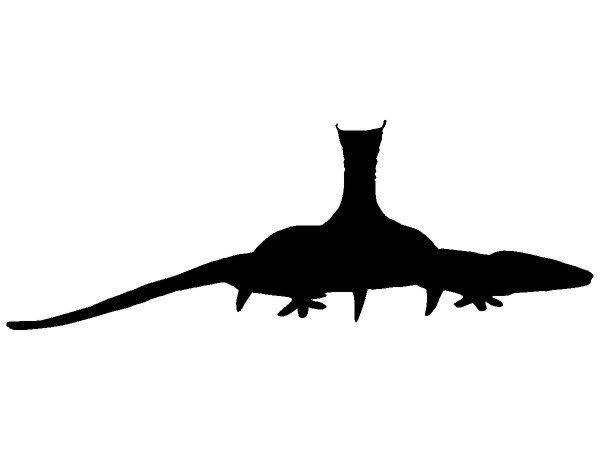 Животные 330