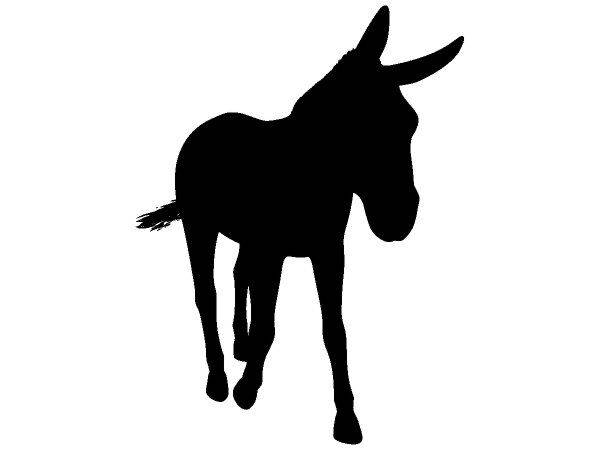 Животные 3271 Животные 3271