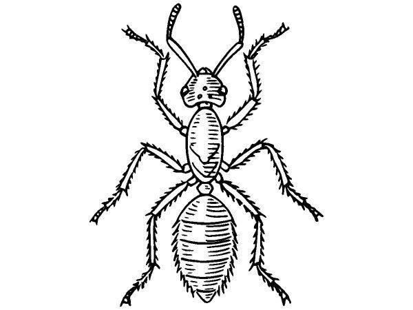 Животные 3749 Животные 3749