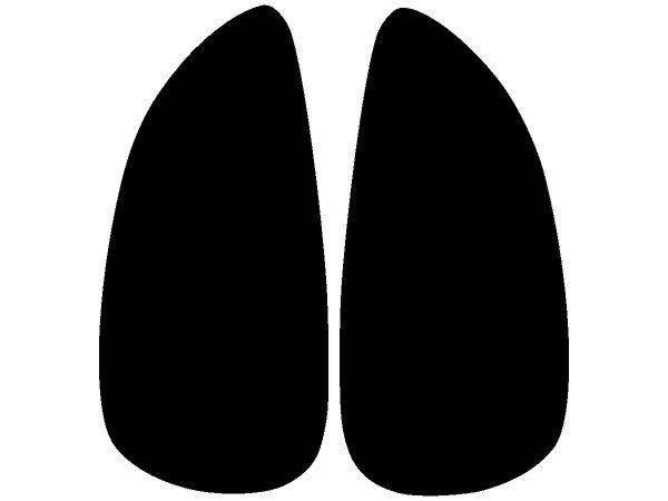 Животные 1246 Животные 1246