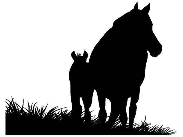 Животные 1495