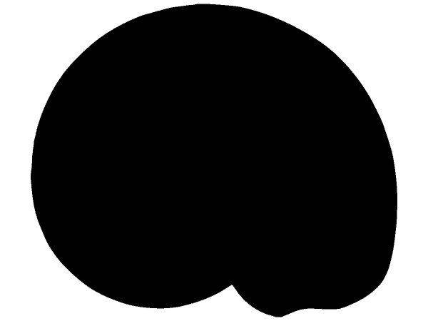 Животные 3989