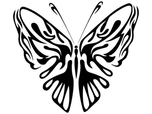 Животные 900