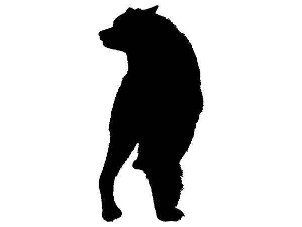 Животные 3489 Животные 3489