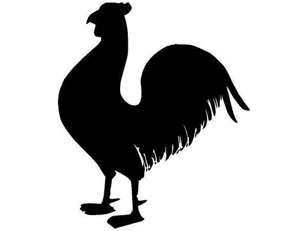 Животные 2641