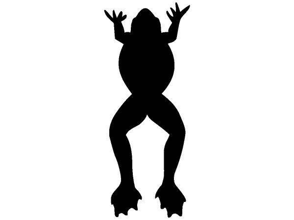 Животные 1231 Животные 1231