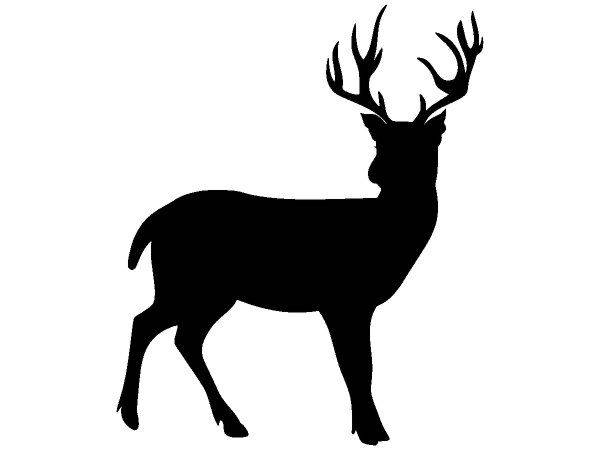 Животные 317 Животные 317