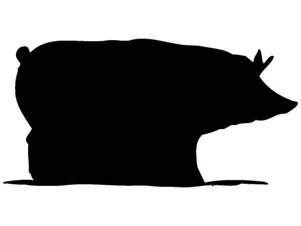 Животные 295 Животные 295