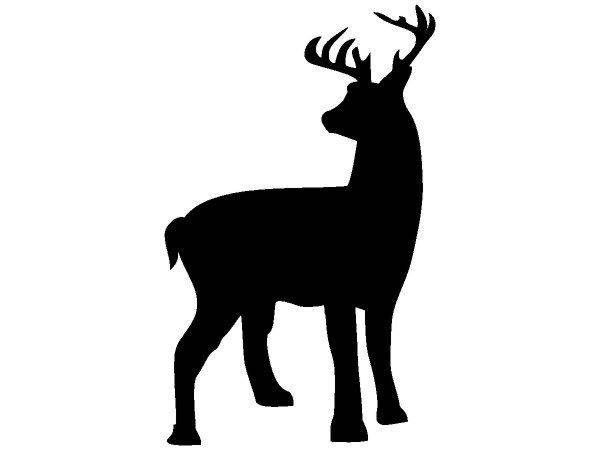 Животные 1614 Животные 1614