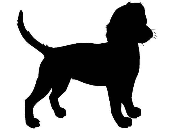 Животные 412