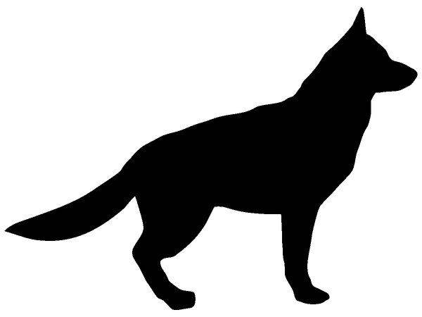 Животные 3123 Животные 3123