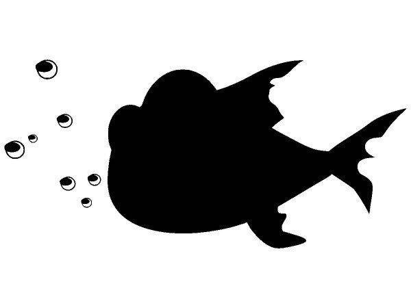 Животные 1715