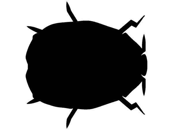 Животные 3061