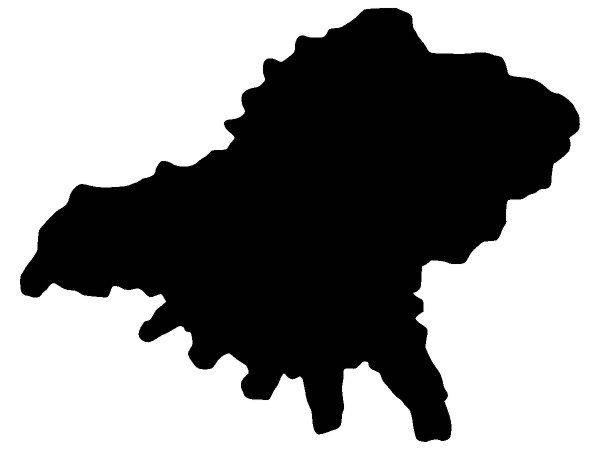 Животные 3075