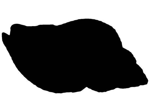 Животные 2250 Животные 2250