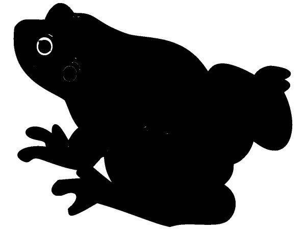 Животные 1222