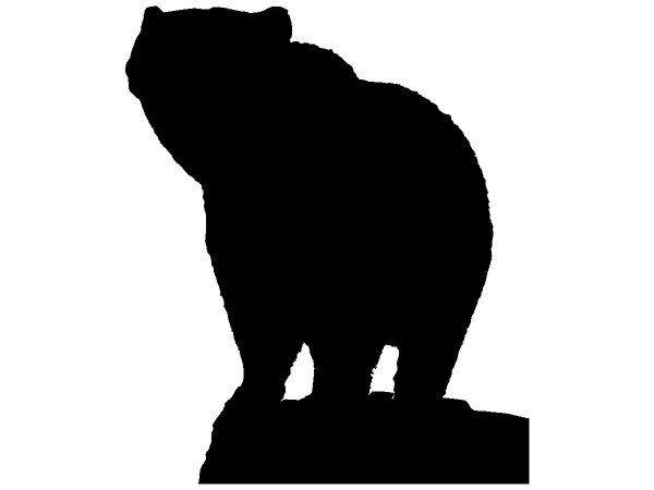 Животные 2332