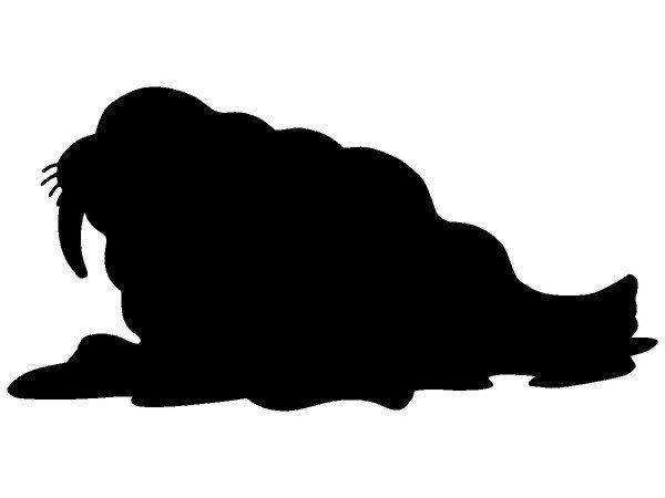 Животные 3855