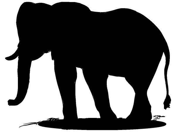 Животные 599 Животные 599