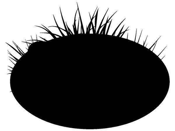 Животные 3168 Животные 3168