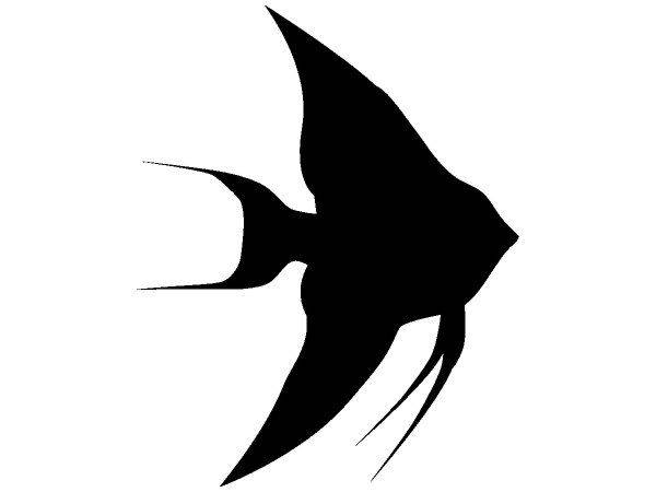 Животные 1404