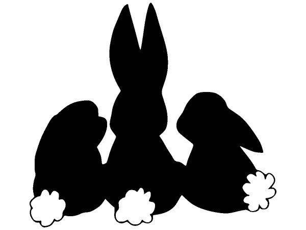 Животные 2462 Животные 2462