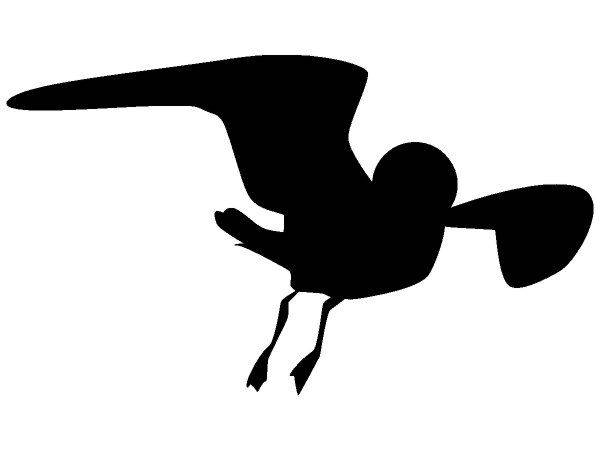 Животные 3371 Животные 3371