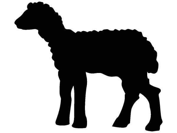 Животные 170