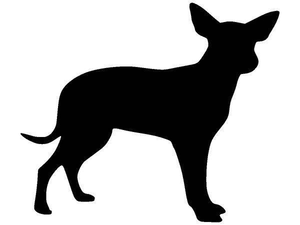 Животные 1417