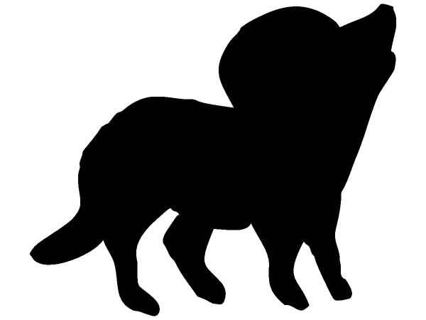 Животные 183