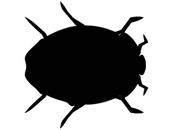 Животные 3048