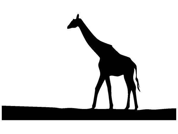 Животные 3715 Животные 3715