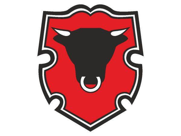 Rigas Miesnieks logo