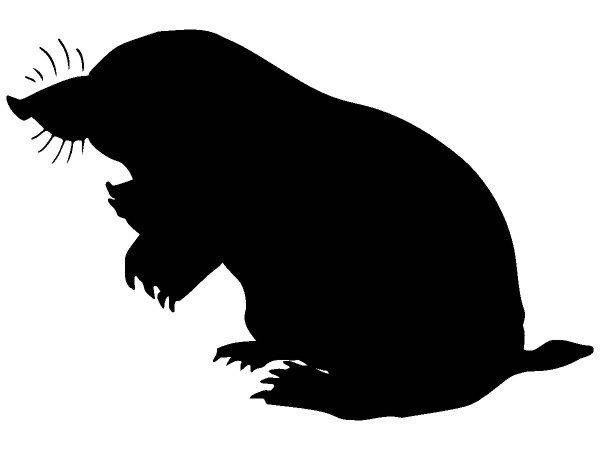 Животные 354