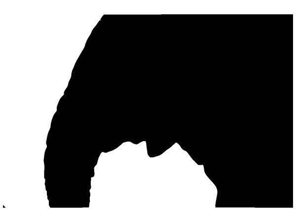 Животные 2139 Животные 2139