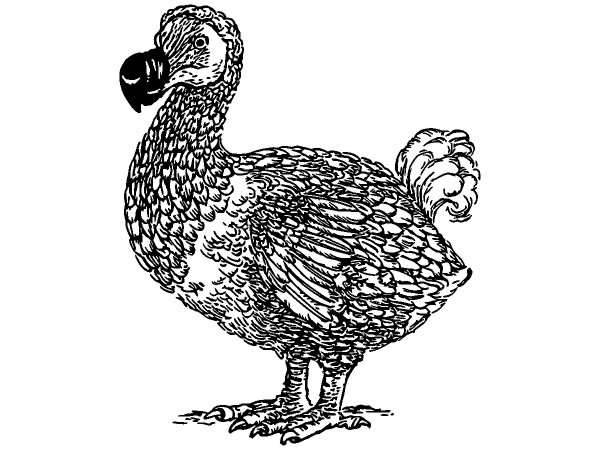 Животные 1257