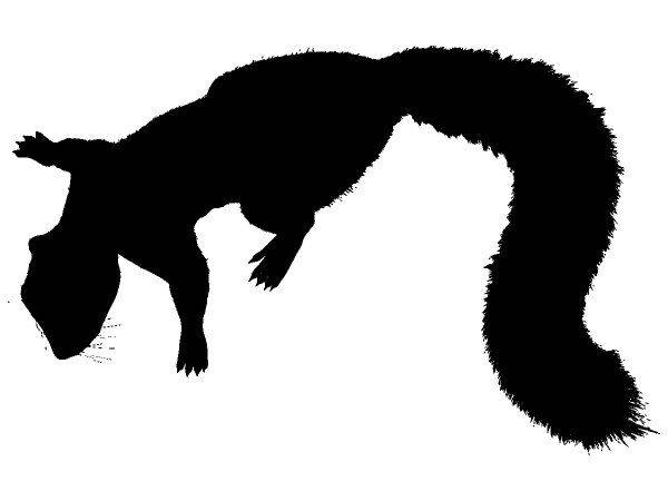 Животные 4092