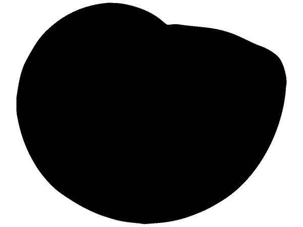 Животные 3994