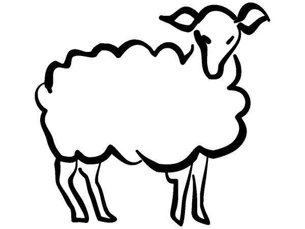 Животные 303 Животные 303