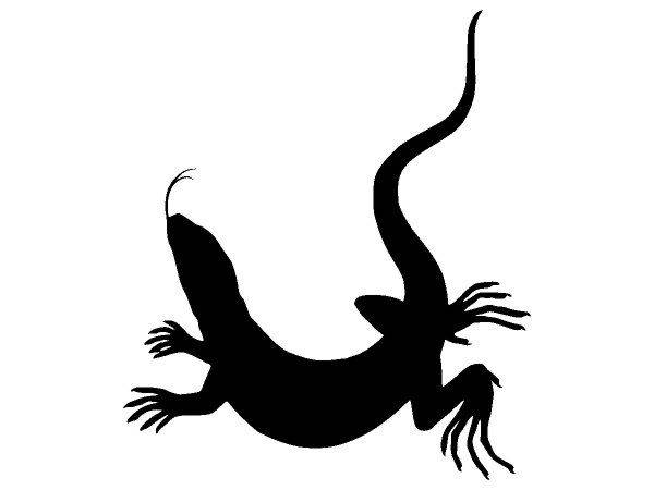 Животные 3273 Животные 3273