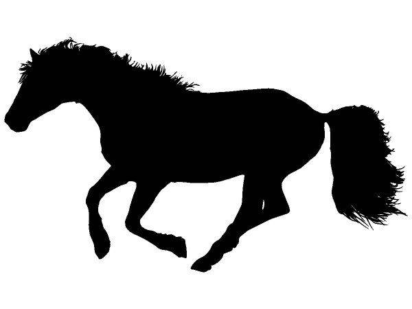 Животные 4024