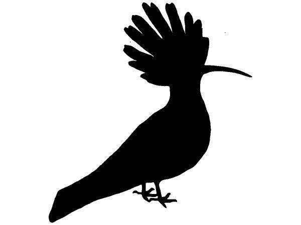 Животные 2782 Животные 2782