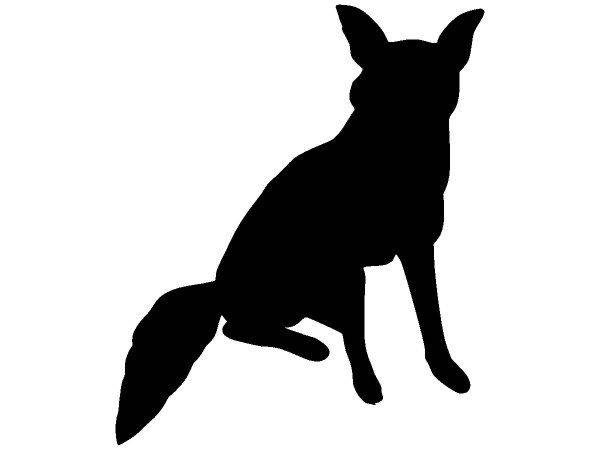 Животные 429