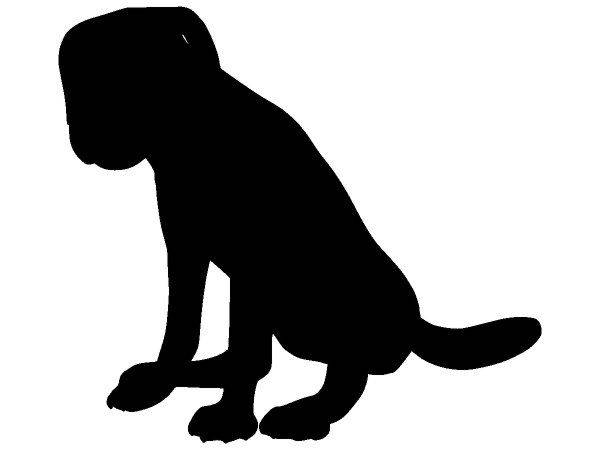 Животные 3308 Животные 3308