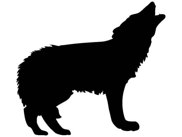 Животные 370