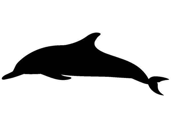 Животные 1451