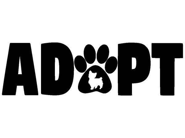 Животные 4078