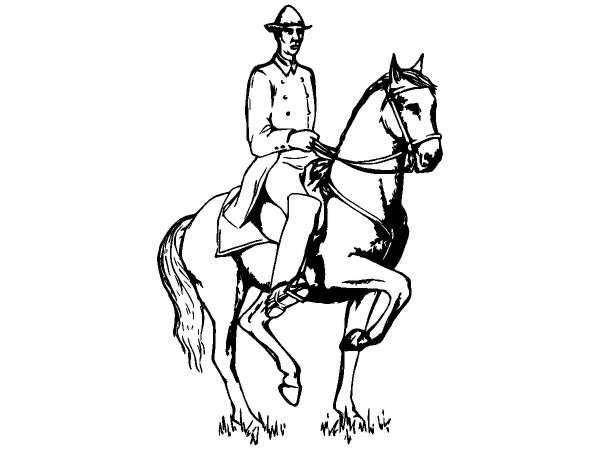 Животные 1258