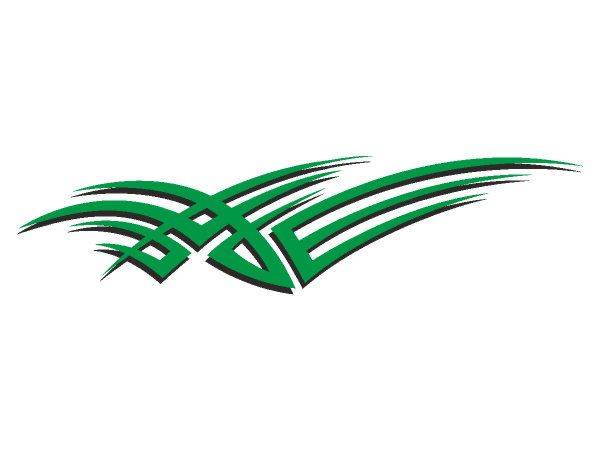 Виниловая наклейка на авто 324