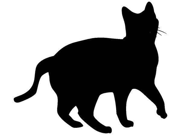 Животные 4118